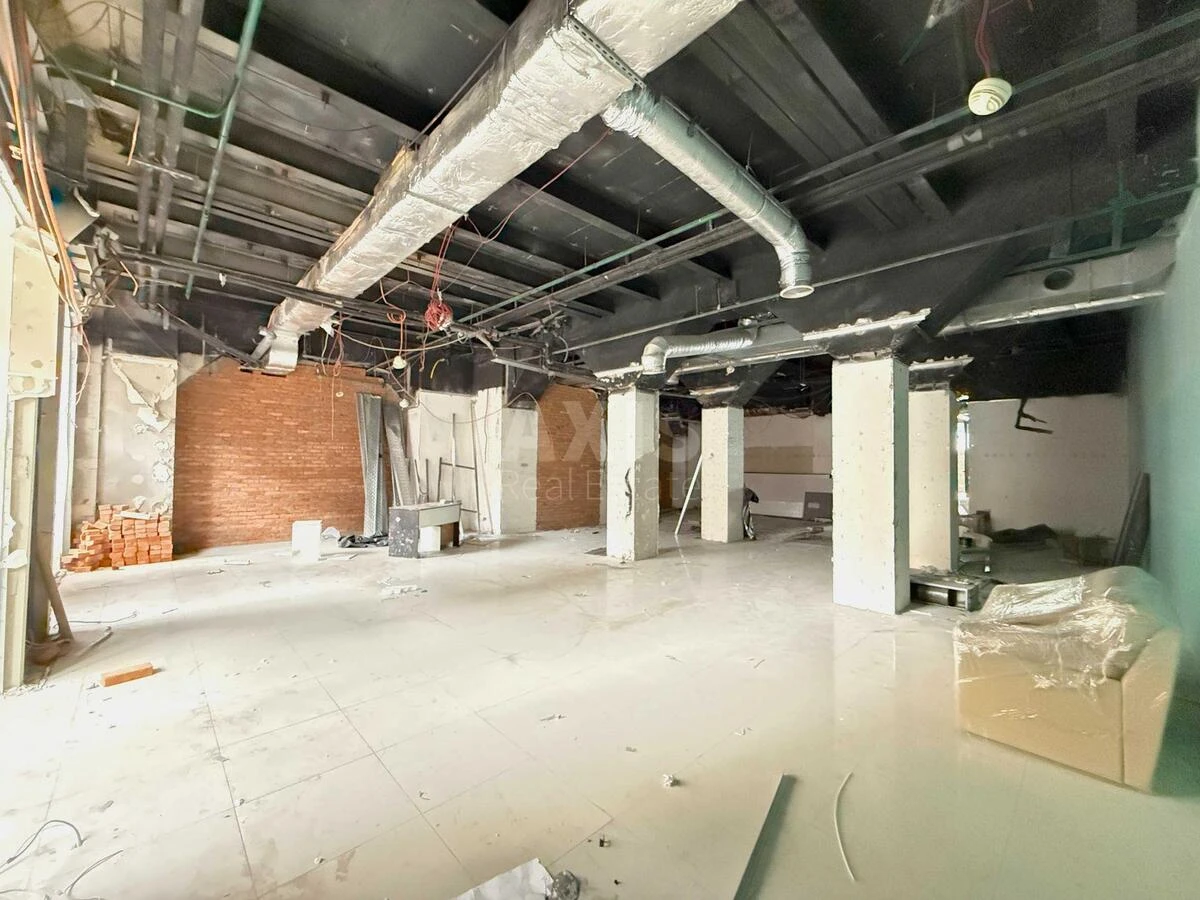 Service object vul. Basejna 2А, 230m26516710