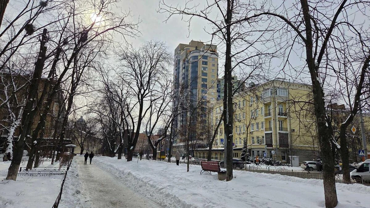 Office vul. Knyaziv Ostrozkykh 39, 116m26523116