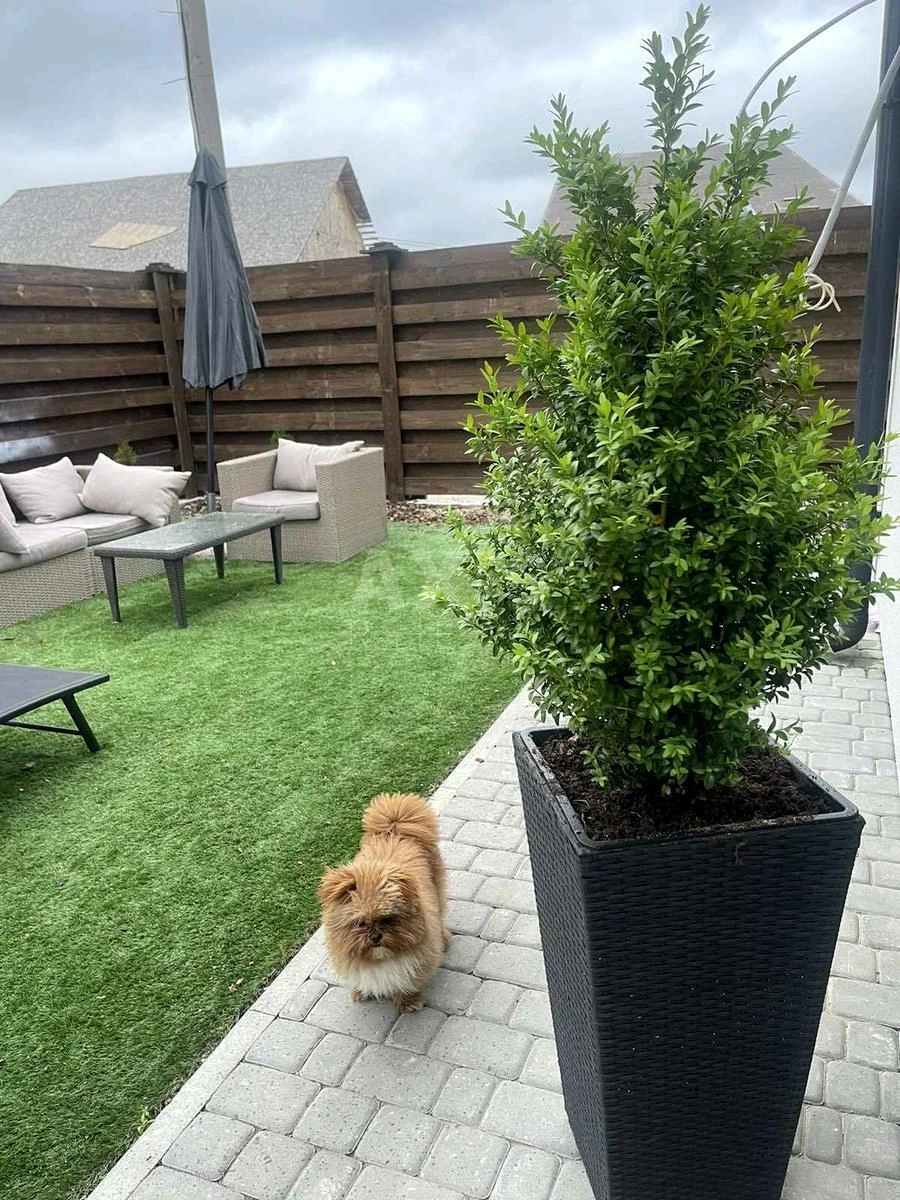 Дoм ул. Центральная, 130м2, город Киев6556618