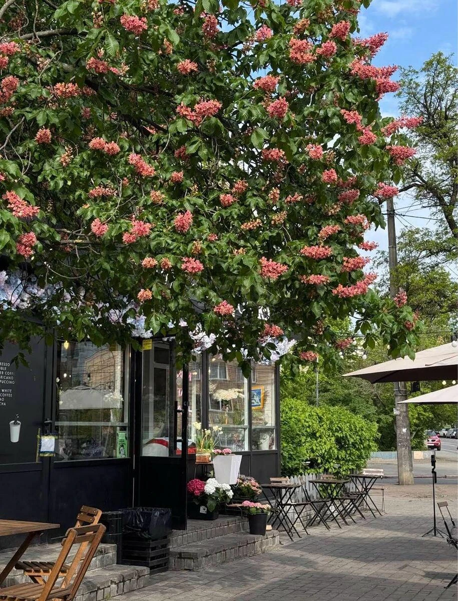 1к квартира ул. Бастионная 10640688