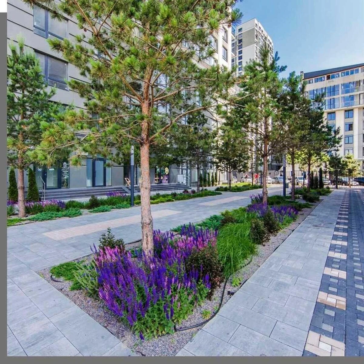 1k apartment vul. Kamianska 66943917