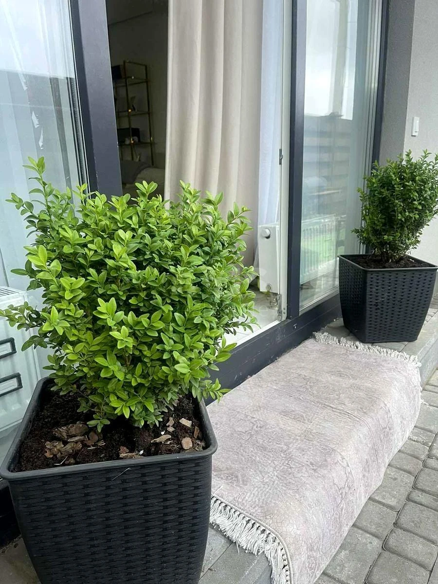 House vul. Central'na, 130m2, Kyiv city6556617