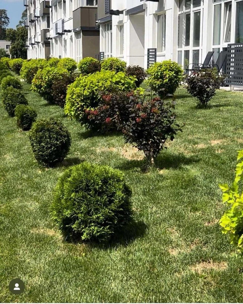 2к квартира ул. Львовская 15665873