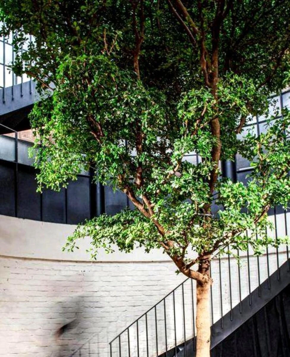 Объект торговли ул. Рейтарская 15, 134м2659871